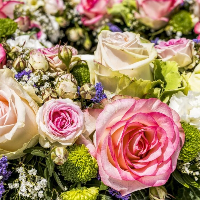 roses-g22831fcb6_1280